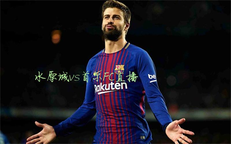 韩k联比赛水原城vs首尔FC直播