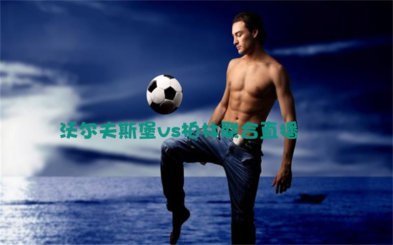 德甲比赛沃尔夫斯堡vs柏林联合直播